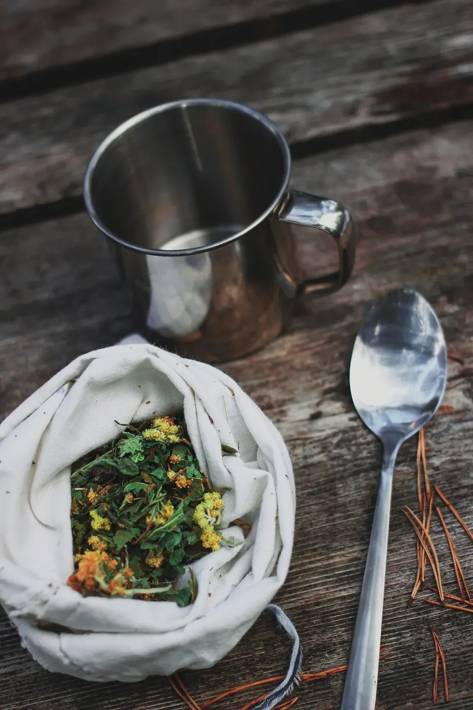 Tincture, Infusion, Essential Oil: A Botanical Field Guide