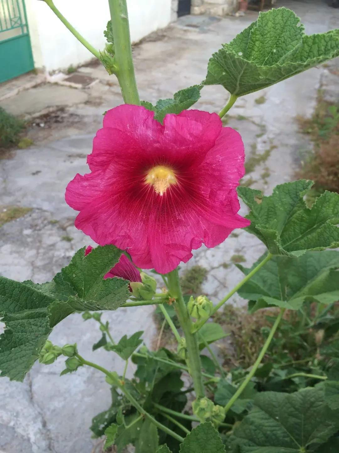 Avdou Village Crete