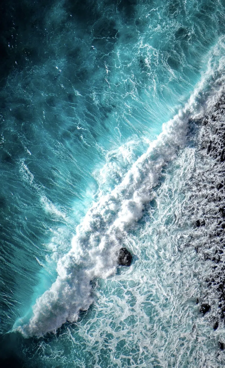 Into the Sea