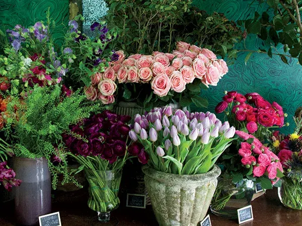 A Softer Approach to Botanical Fragrance