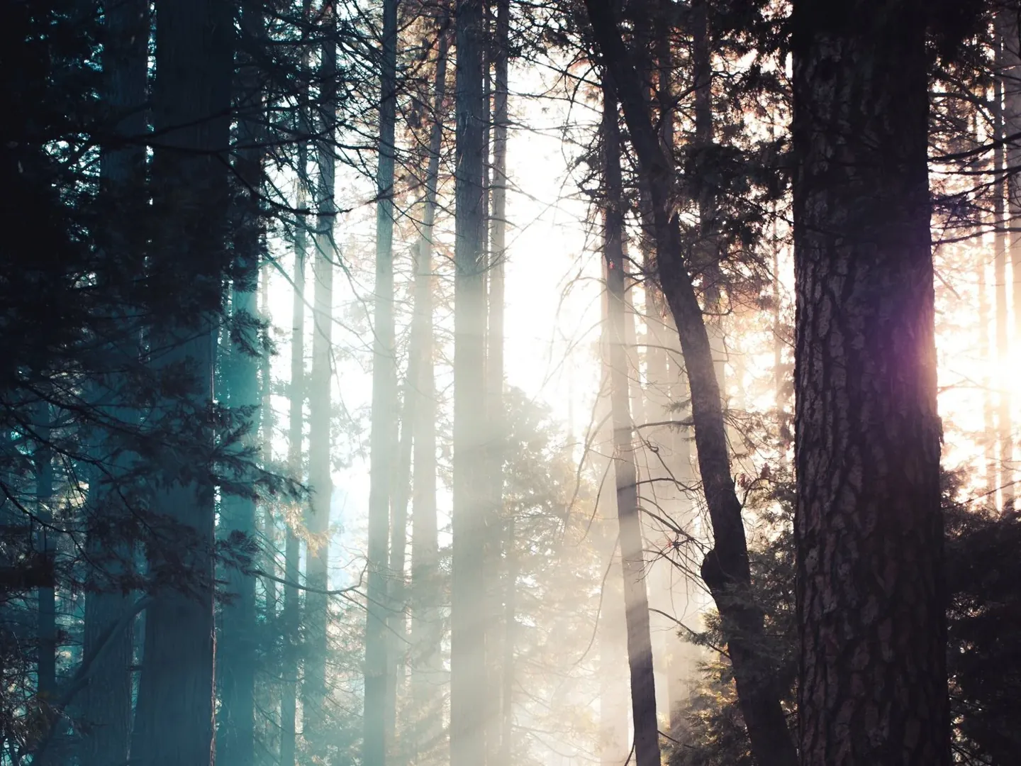 A Brighter Start to Winter Mornings