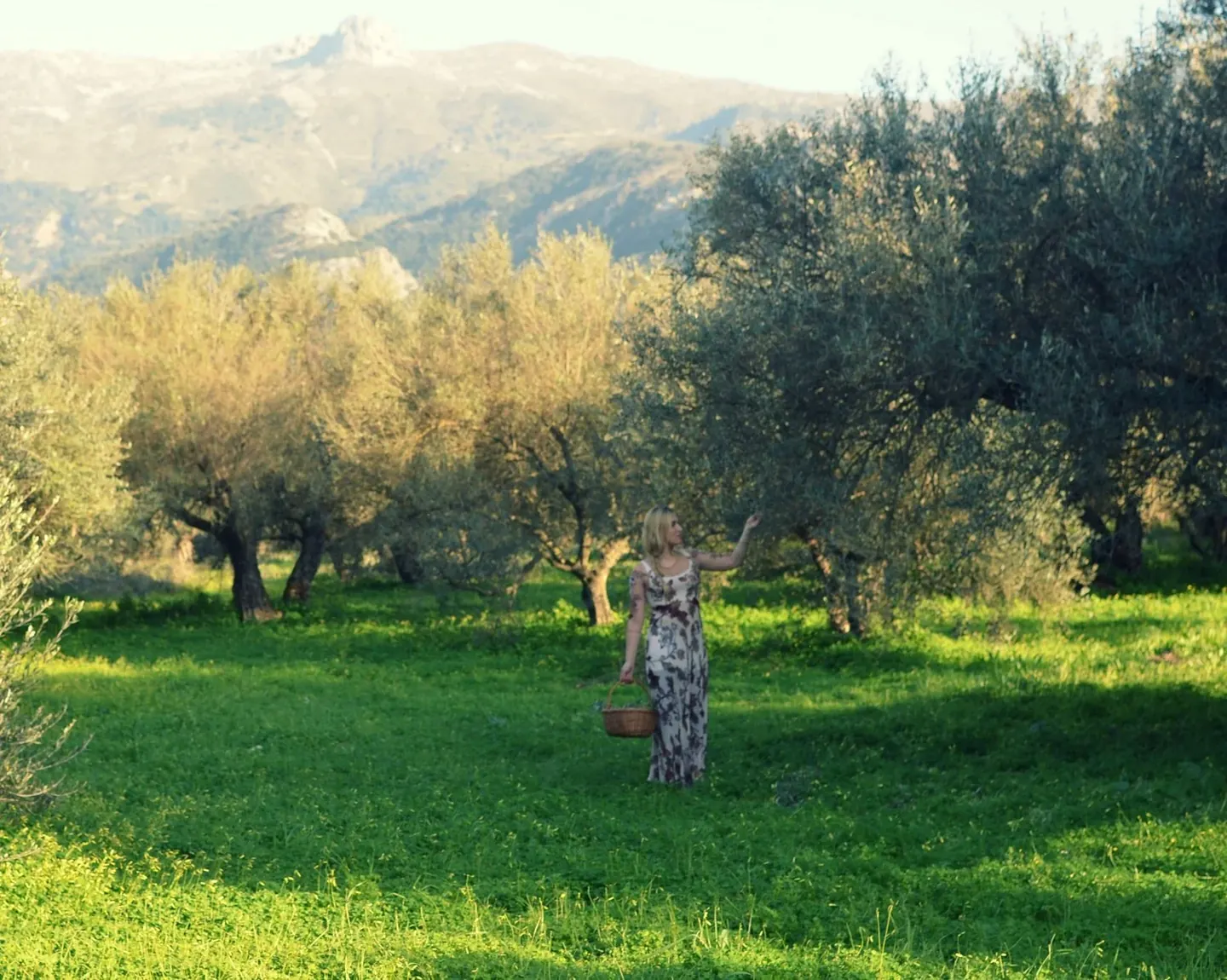 Olive Oil, a Mediterranean Essential