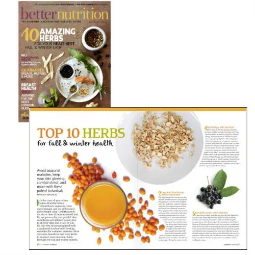 Ten Herbs for Fall & Winter: A Seasonal Apothecary