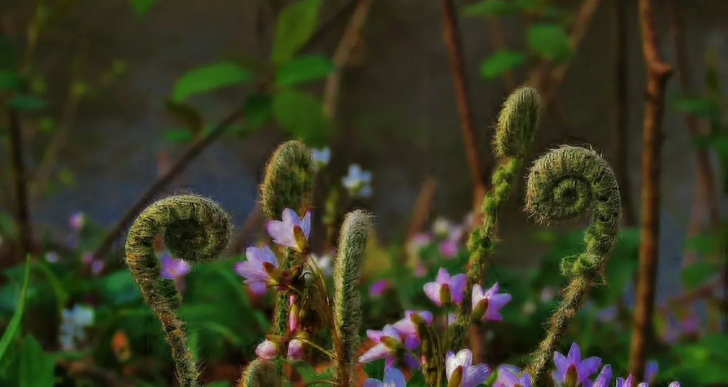 Botanical Plant Intelligence