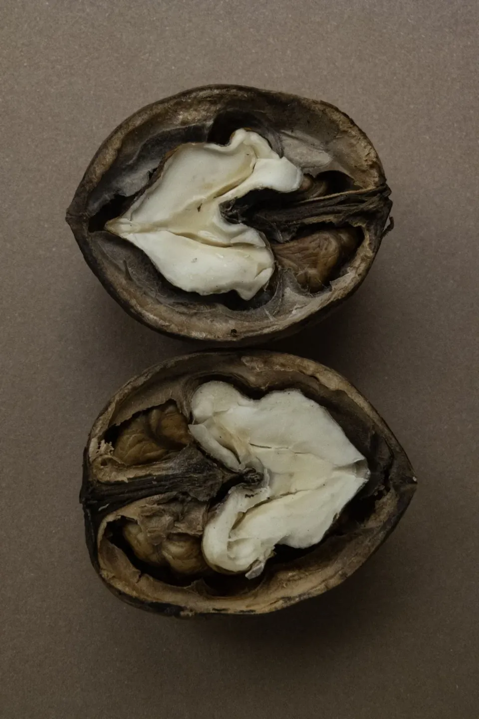 The Afternoon Nut Ritual