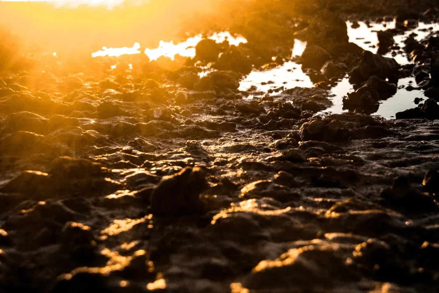 The Earthy Appeal of a Mud Bath