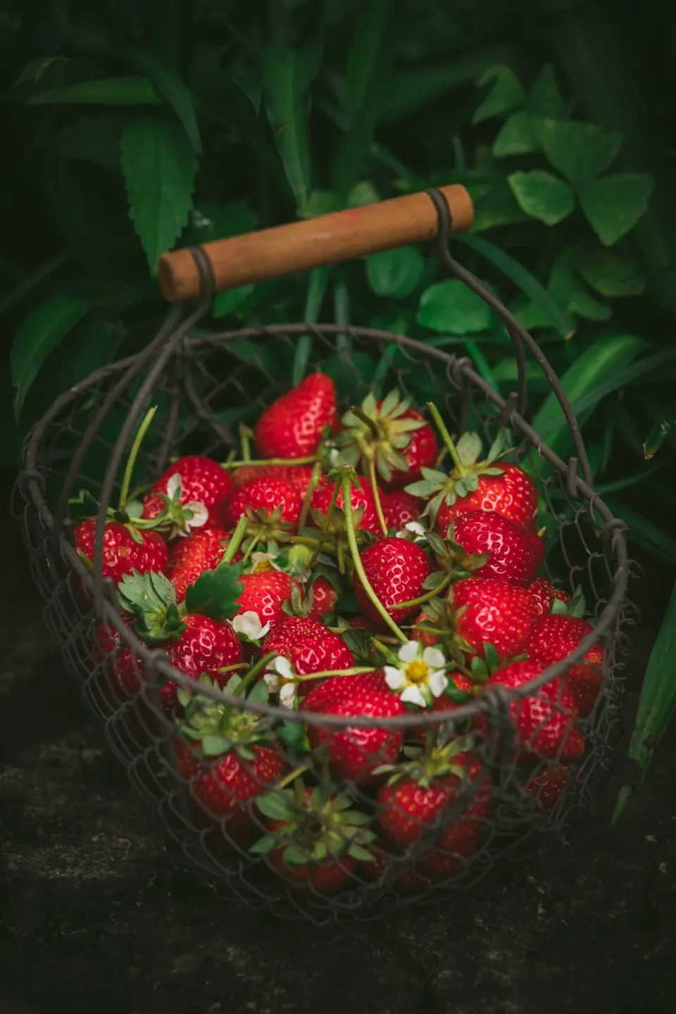 A Fruit-Inspired At-Home Facial