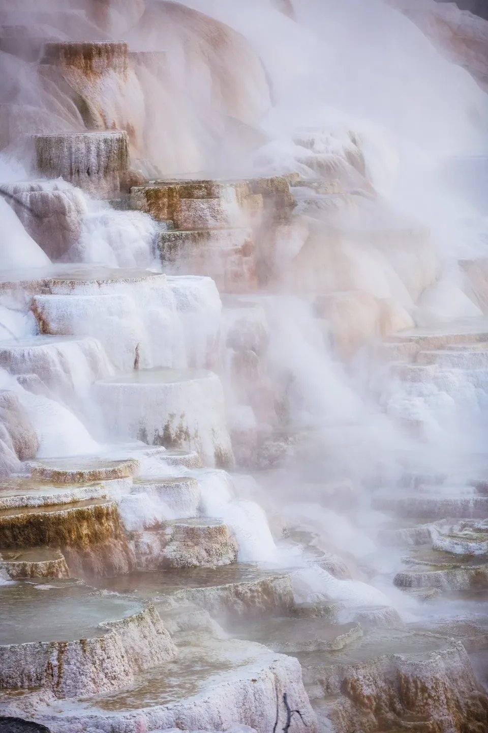 The Quiet Luxury of a Warm-Water Reset