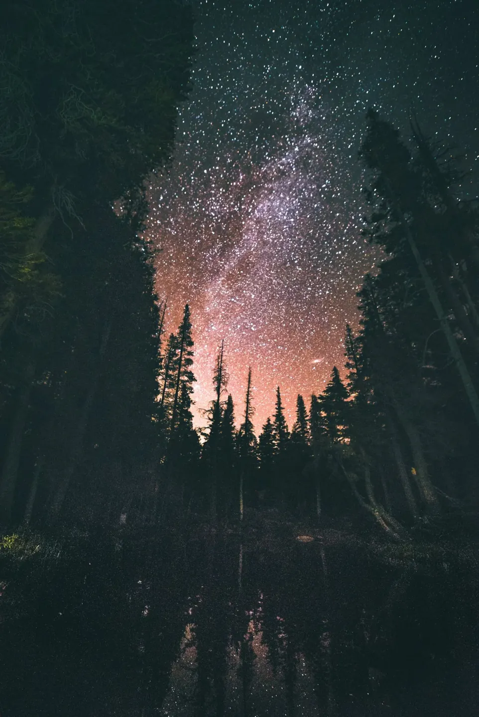 The Moon, the Body, and the Stories We Tell