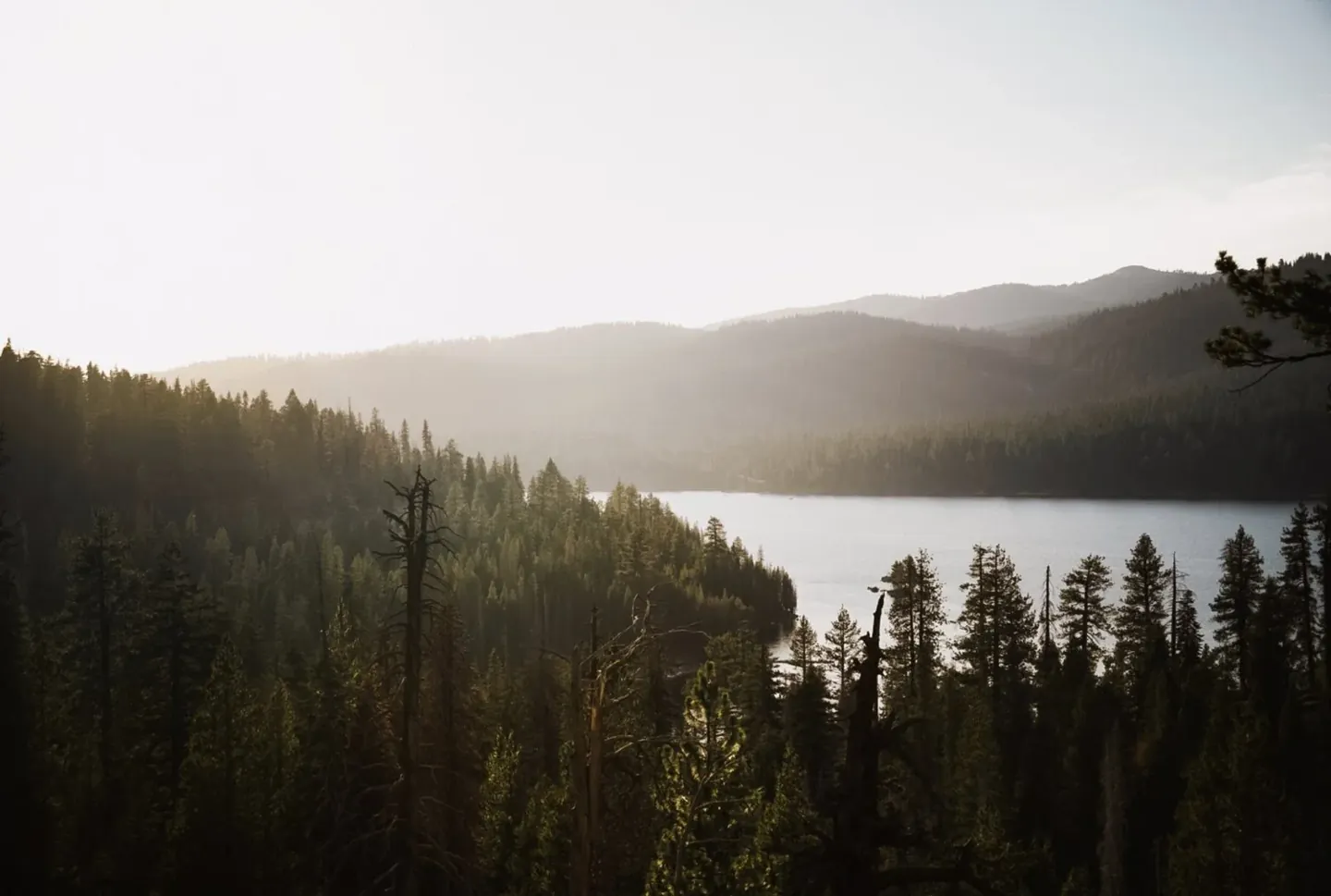 A Gratitude Practice That Leaves Room for Real Life