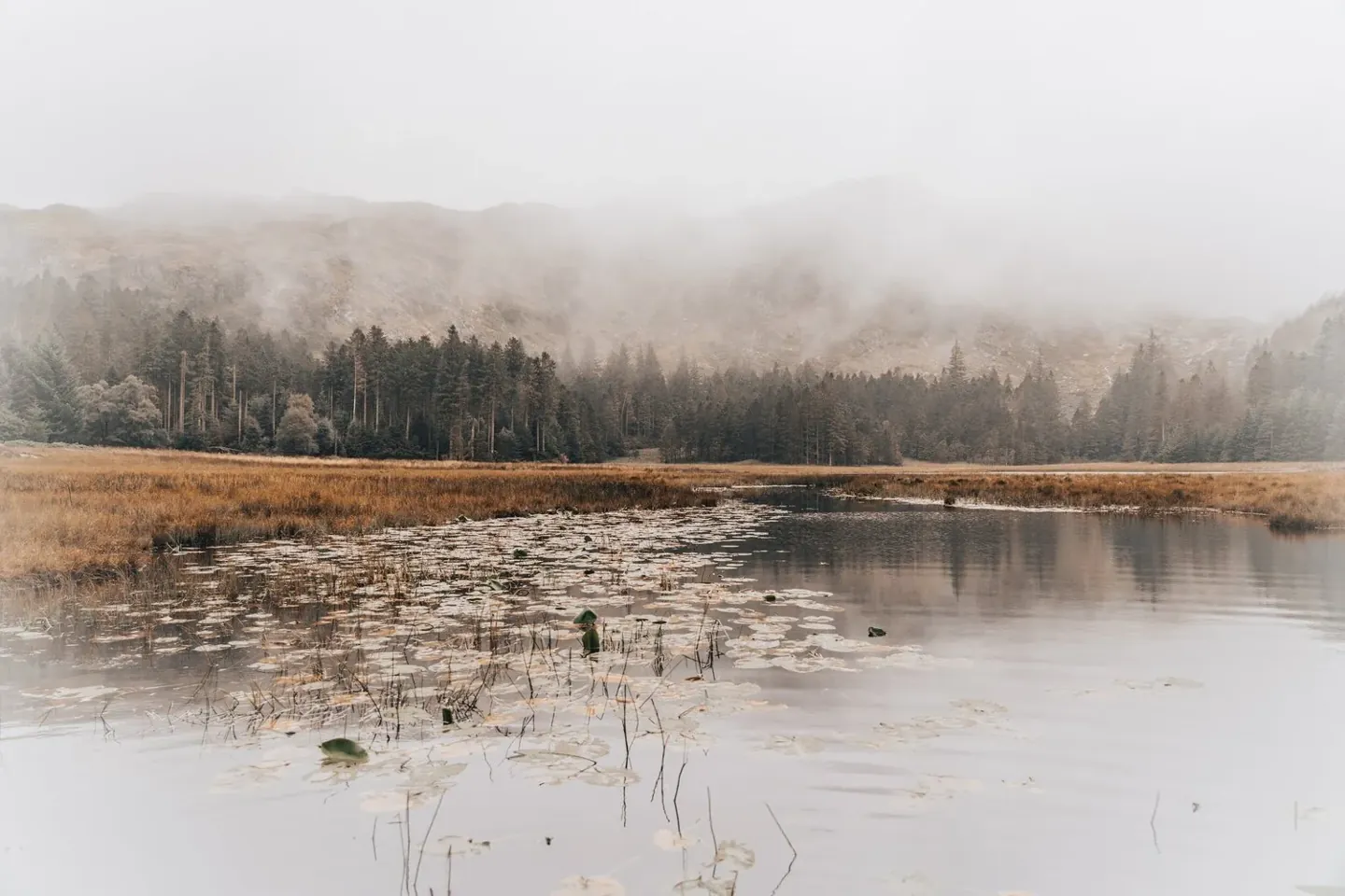 Five Questions to Ask When You Feel Worn Out