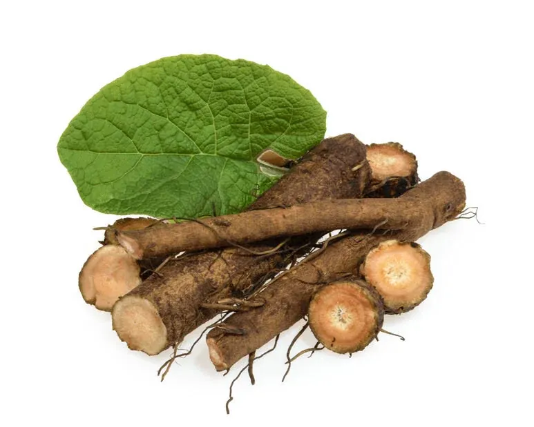 From the Medicine Wild Burdock archive
