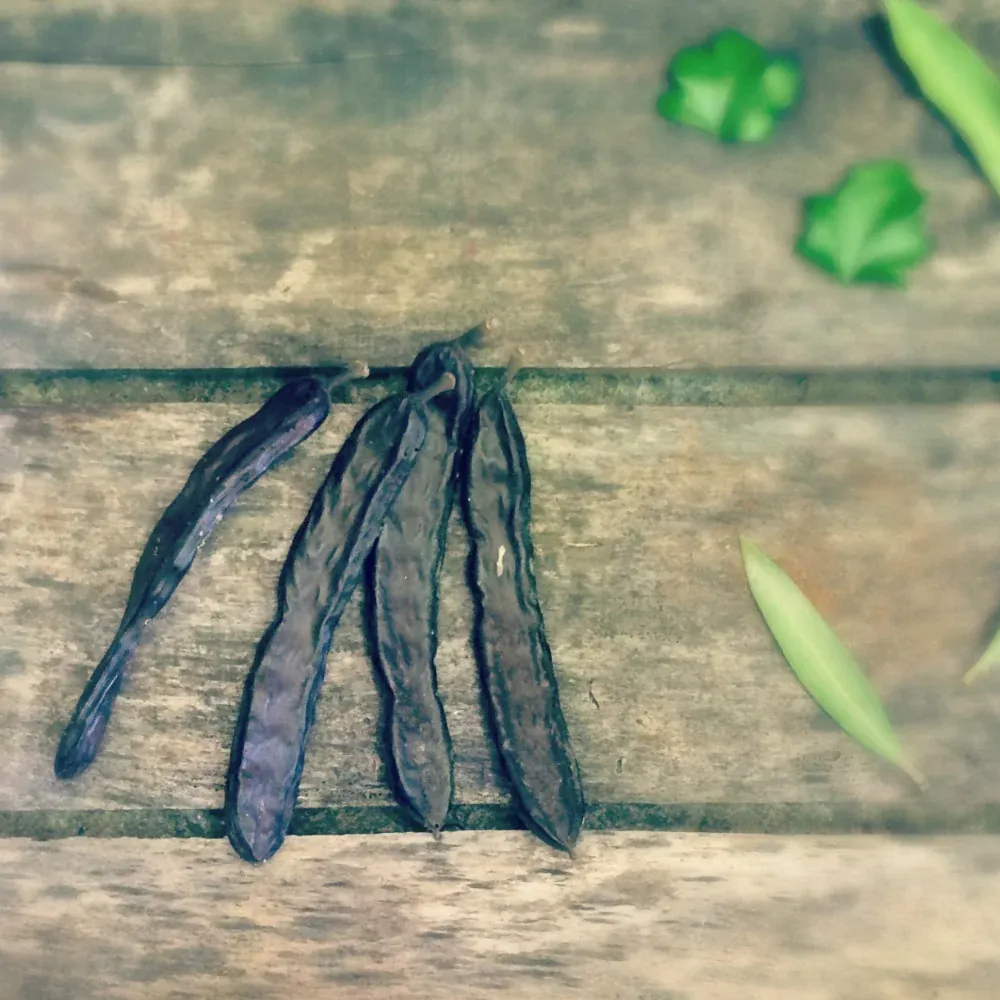 Carob, the Mediterranean Pantry Favorite