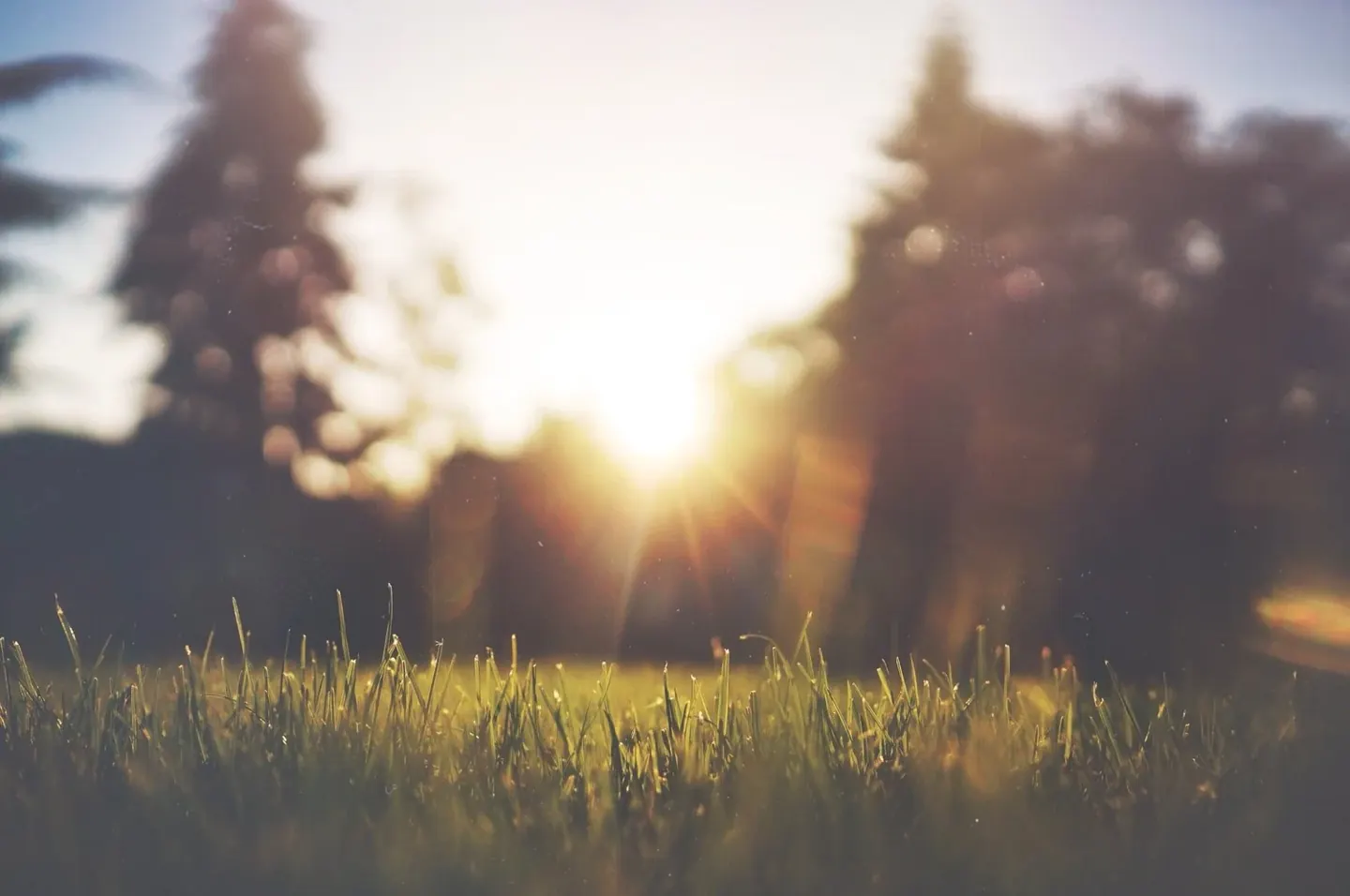 Vitamin D: The Sunshine Story, Updated