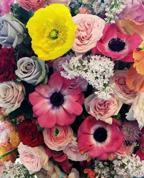 Gemmotherapy: Inside the World of Plant Buds