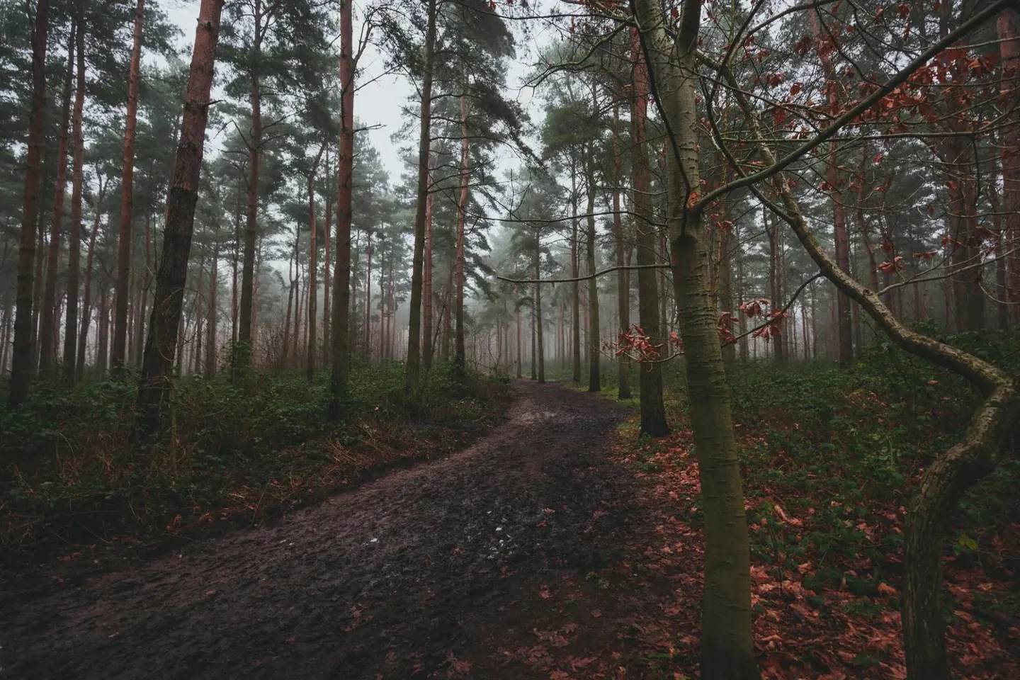 Intervals That Make a Walk More Interesting