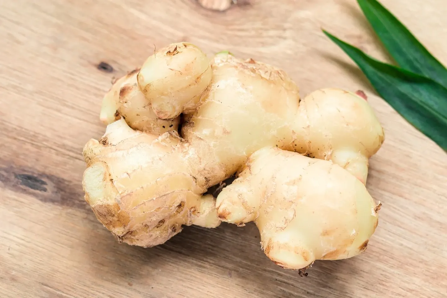 From the Medicine Wild Ginger archive