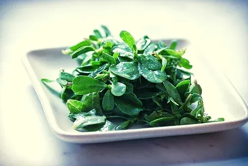 purslane salad