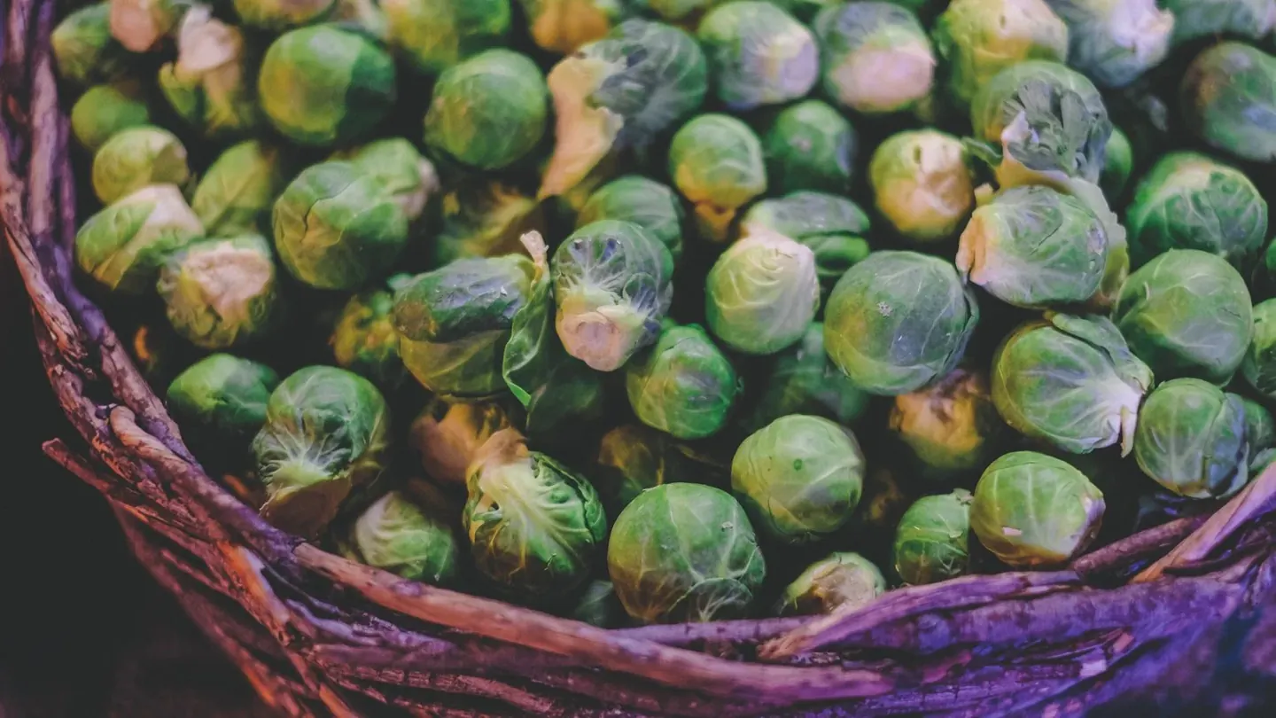 What to Bring Home This Fall