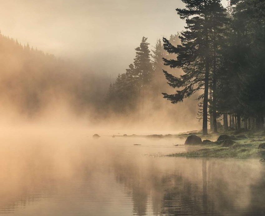 Morning light and mist across a quiet lake